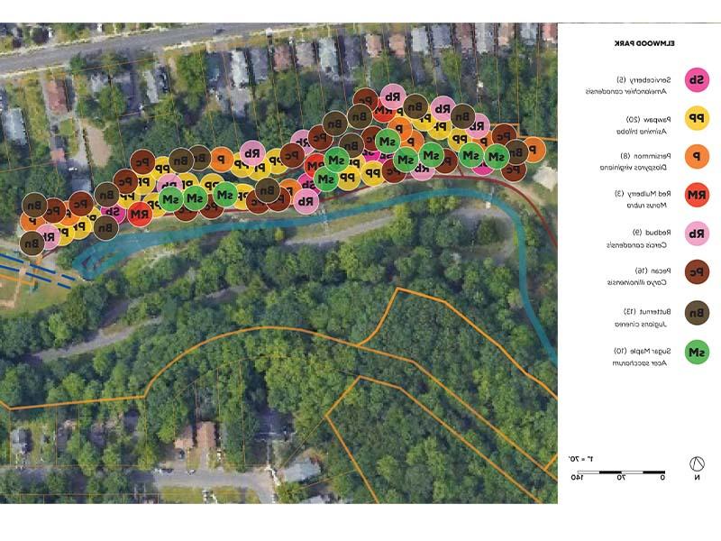 Satellite image of 榆木公园 food forest showing different plants